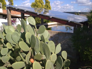 Risorse Solari Srl Impianti fotovoltaici Sardegna 